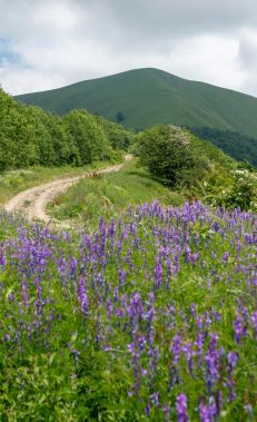 Hiking along the Gumukh - Gashgachay trail