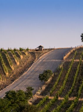 Wine weekends at Chabiant winery