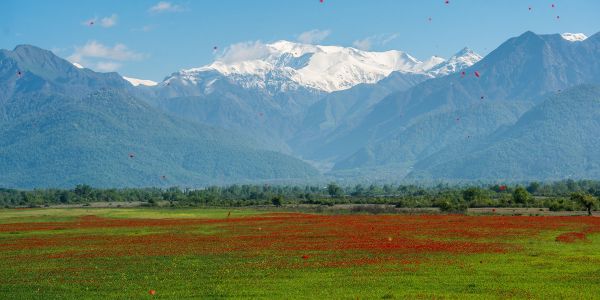 Gabala